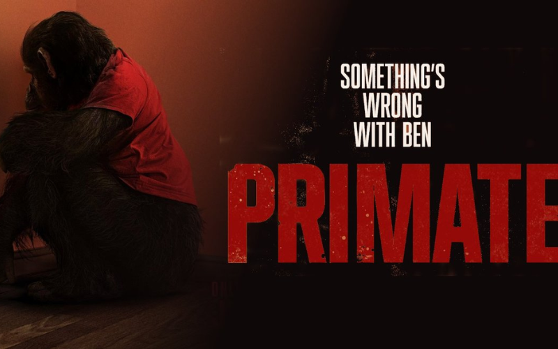 Primate
